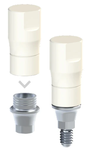 IPD cobalt-chromium base with burnout coping – illustration from the CREAS brochure