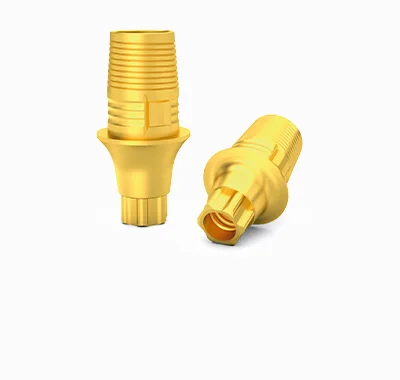 CEREC Ti-base IPD